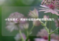 CF生化模式，揭秘补给箱的神秘用法与魅力