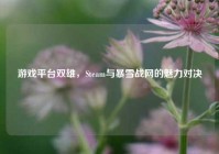 游戏平台双雄，Steam与暴雪战网的魅力对决