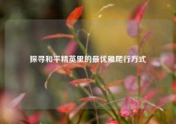 探寻和平精英里的最优雅爬行方式