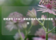 绝地求生（PUBG）画质选项深入解析与设置推荐