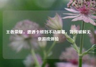 王者荣耀，遭遇卡顿划不动屏幕，如何破解无奈游戏体验