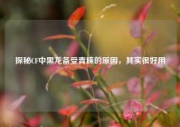 探秘CF中黑龙备受青睐的原因，其实很好用