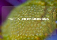CSGO 让 2.5，竞技魅力与博弈深度解析