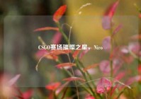CSGO赛场璀璨之星，Niro