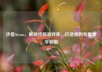 沙皇Steam，解锁终极游戏库，打造你的专属数字帝国