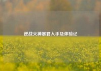 逆战火神暴君入手及体验记