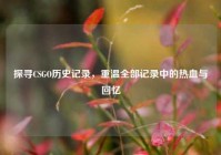 探寻CSGO历史记录，重温全部记录中的热血与回忆