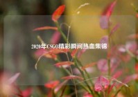 2020年CSGO精彩瞬间热血集锦