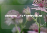 逆战蔷薇庄园，探索等级奥秘与成长之路