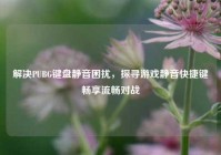 解决PUBG键盘静音困扰，探寻游戏静音快捷键畅享流畅对战