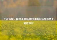 王者荣耀，国内手游领域的璀璨明珠及其本土属性探讨