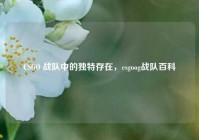 CSGO 战队中的独特存在，csgoog战队百科
