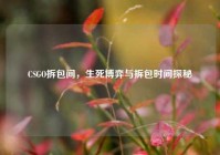 CSGO拆包间，生死博弈与拆包时间探秘