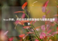 Steam手柄，开启动作游戏新体验与设置选项解析