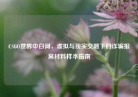 CSGO世界中白河，虚拟与现实交融下的诈骗报案材料样本指南