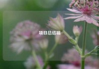 项目总结稿