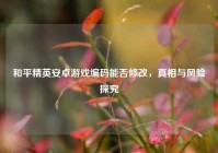 和平精英安卓游戏编码能否修改，真相与风险探究