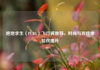 绝地求生（PUBG）飞行裤推荐，时尚与游戏体验双提升