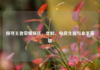 探寻王者荣耀嗨氏，年龄、电竞生涯与拿手英雄