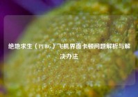 绝地求生（PUBG）飞机界面卡顿问题解析与解决办法