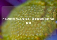 PUBG及PUBG Mobile改名卡，消失原因与获取方法探寻