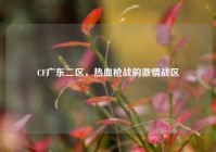 CF广东二区，热血枪战的激情战区