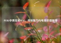 PUBG中青花瓷M762，传统魅力与电竞价值探寻