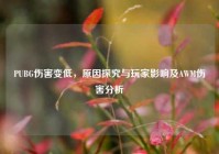 PUBG伤害变低，原因探究与玩家影响及AWM伤害分析