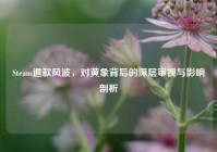 Steam退款风波，对黄象背后的深层审视与影响剖析