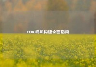 CFBC锅炉构建全面指南