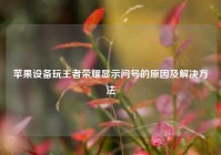 苹果设备玩王者荣耀显示问号的原因及解决方法