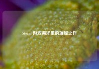 Steam 游戏海洋里的璀璨之作