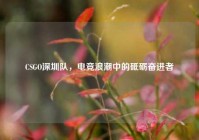 CSGO深圳队，电竞浪潮中的砥砺奋进者
