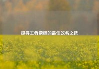 探寻王者荣耀的最佳改名之选