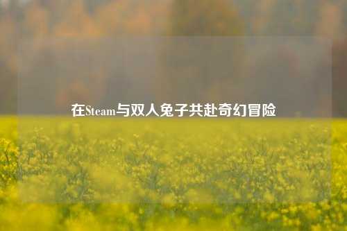 在Steam与双人兔子共赴奇幻冒险