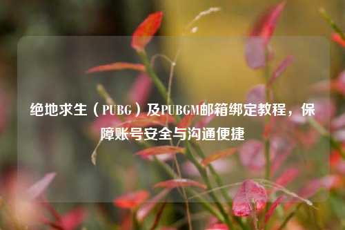 绝地求生（PUBG）及PUBGM邮箱绑定教程，保障账号安全与沟通便捷