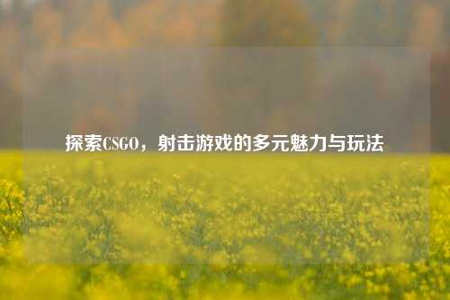 探索CSGO，射击游戏的多元魅力与玩法