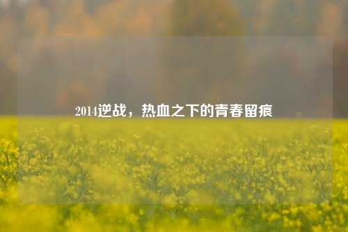 2014逆战，热血之下的青春留痕