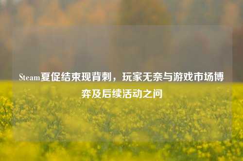 Steam夏促结束现背刺，玩家无奈与游戏市场博弈及后续活动之问