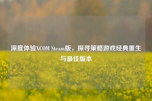 深度体验XCOM Steam版，探寻策略游戏经典重生与最佳版本
