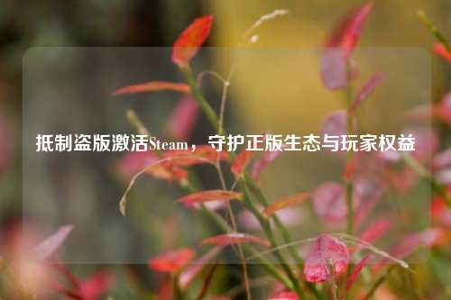 抵制盗版激活Steam，守护正版生态与玩家权益