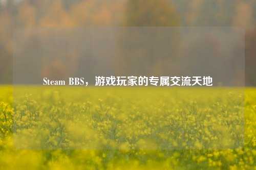 Steam BBS，游戏玩家的专属交流天地
