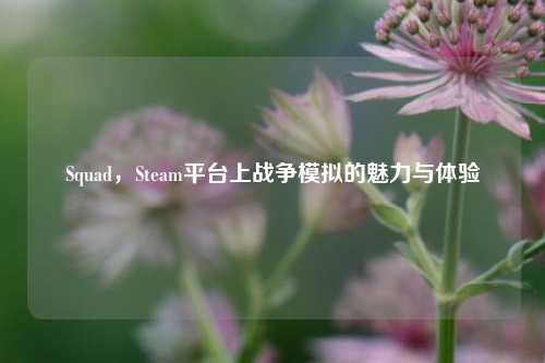 Squad，Steam平台上战争模拟的魅力与体验