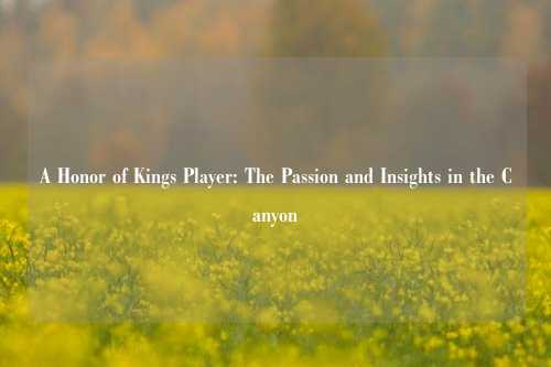 A Honor of Kings Player: The Passion and Insights in the Canyon