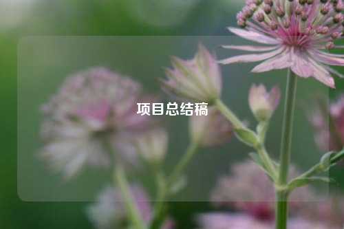 项目总结稿