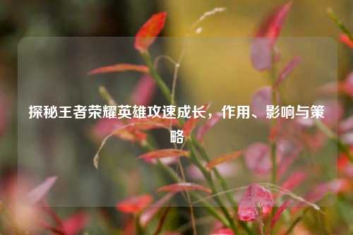 探秘王者荣耀英雄攻速成长，作用、影响与策略
