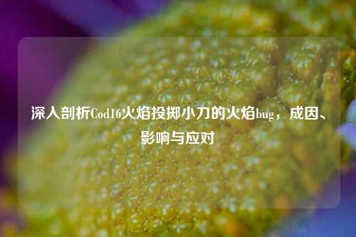 深入剖析Cod16火焰投掷小刀的火焰bug，成因、影响与应对