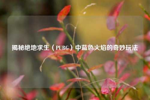 揭秘绝地求生(PUBG)中蓝色火焰的奇妙玩法