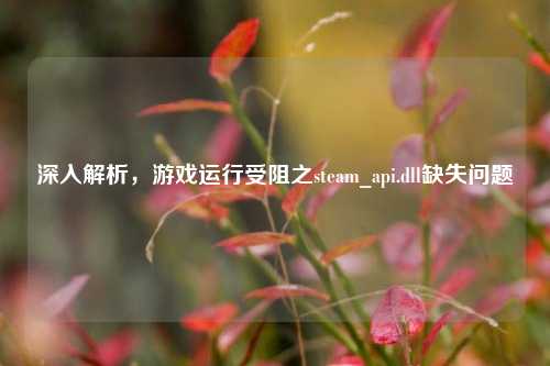 深入解析,游戏运行受阻之steam_api.dll缺失问题