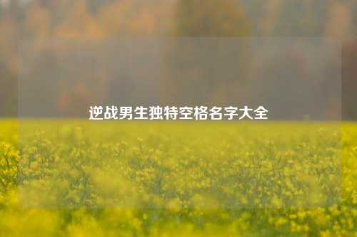 逆战男生独特空格名字大全
